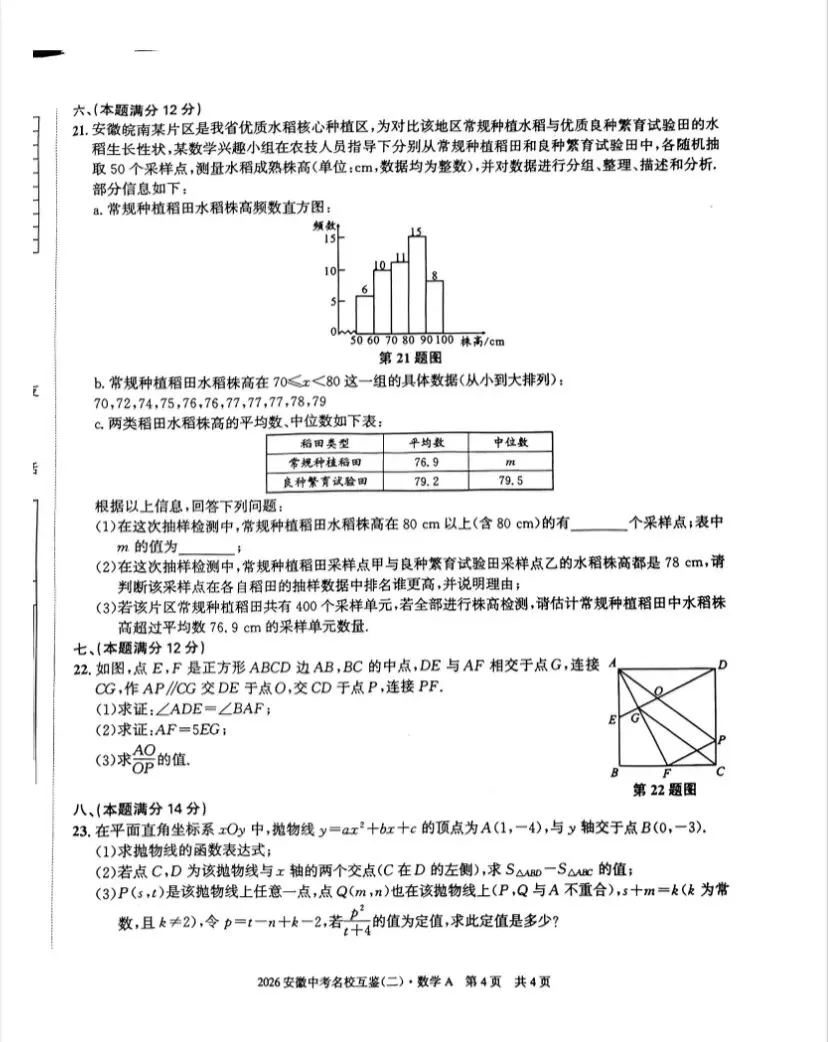 (284A)2026春安徽中考九下数学名校互鉴二A 第5张