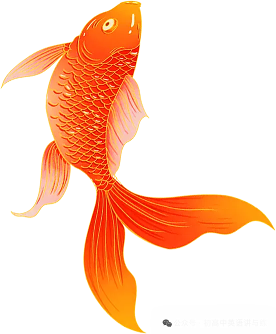 高三英语模拟考试2026年4月 独家解析可打印 第16张