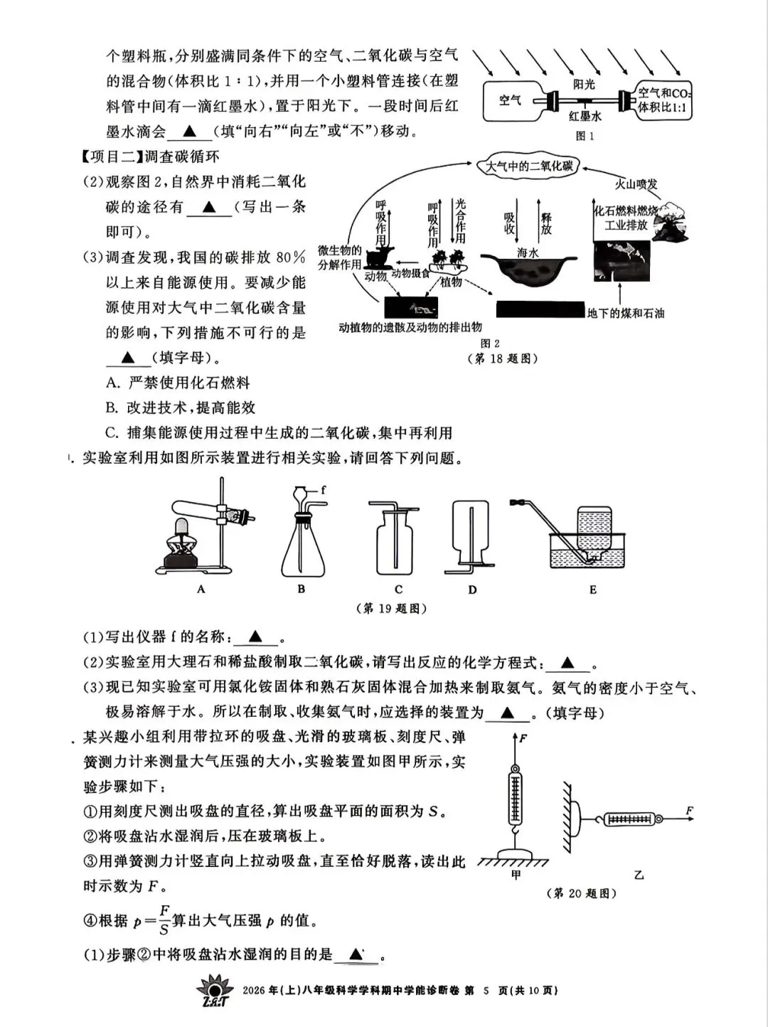 2026.4 浙共体八下期中科学试卷 第5张