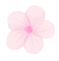 2026春新《三年级下册语文期中名校真题卷+质量检测卷》,电子版可打印(附答案) 第11张