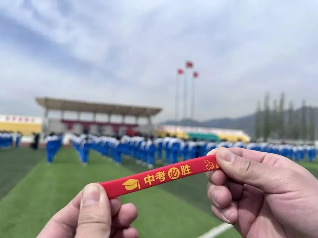 中考逐梦凌云起,少年扬帆踏歌行---2026年存瑞中学中考誓师大会成功举行 第14张