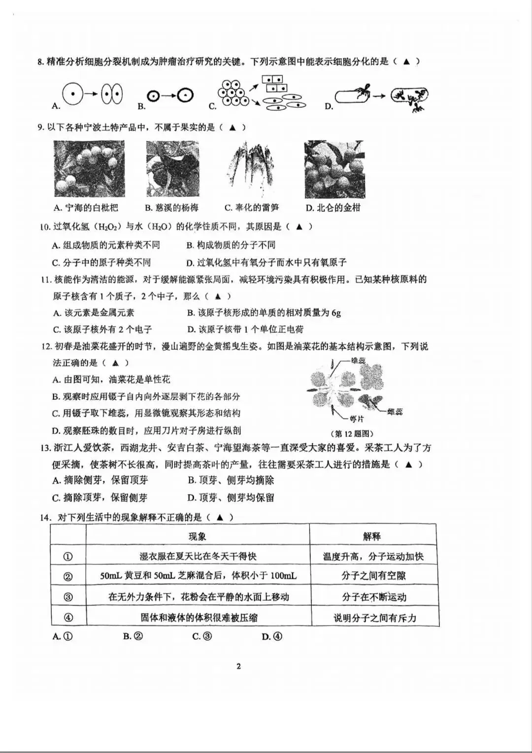 2025学年第二学期七年级期中测试试卷分享来啦!超全解析 第46张
