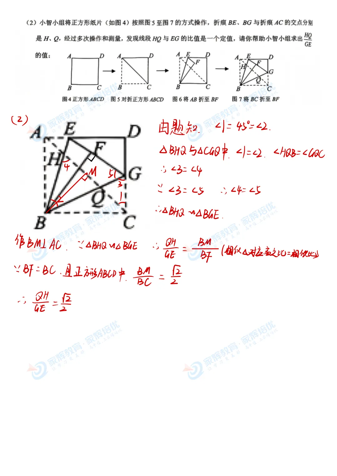 独家解析!2026杨浦区二模数学真题解析! 第13张