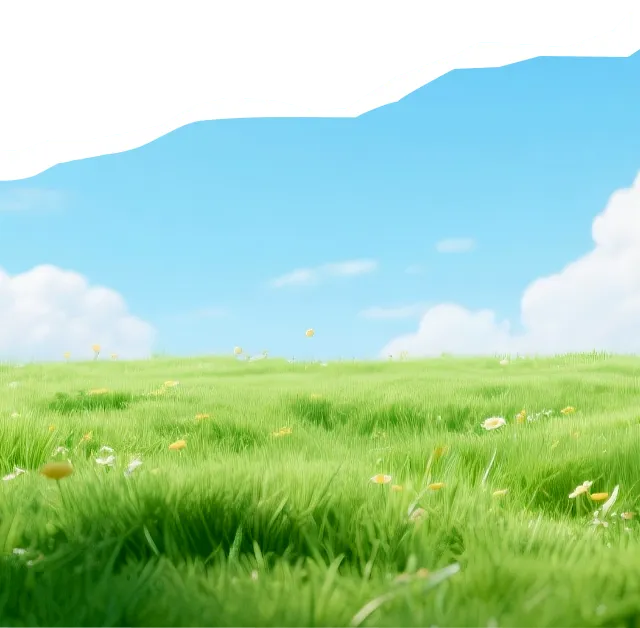 枣庄应职中等职业学校2026年中考体育考试考生须知 第4张