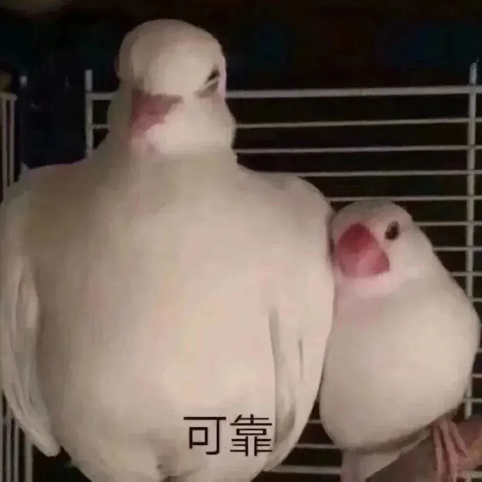 院校真题分析01 | 华东师范大学保研真题来啦!快来看看今年的备考风向标! 第2张