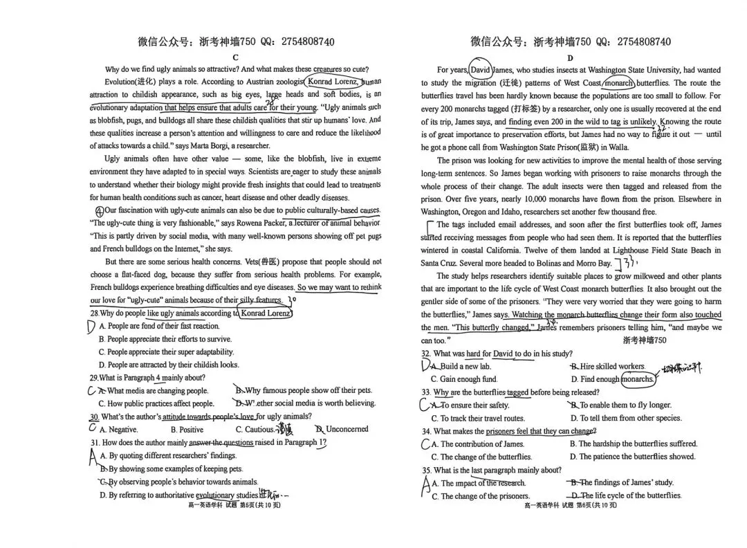 24学年高一下温州新力量期中考英语试卷详解 第2张