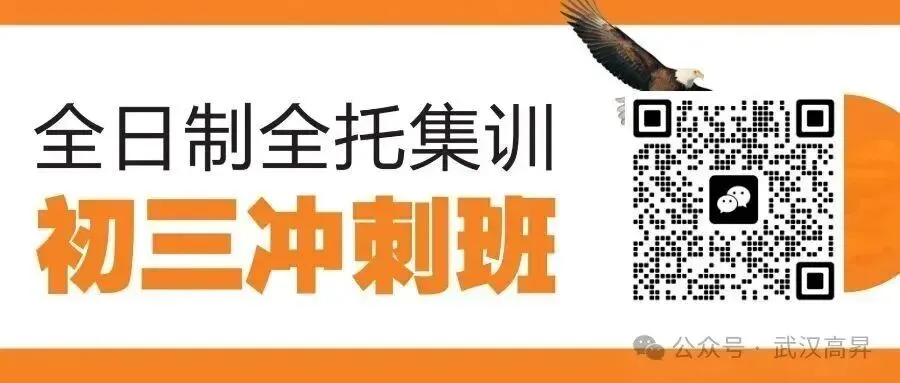2026年武汉初三四调【语文】试卷及答案 第27张