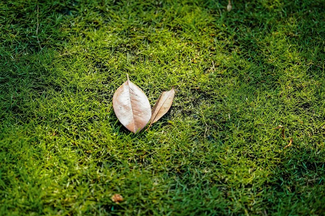 全国青少年信息素养大赛历年真题 第13张