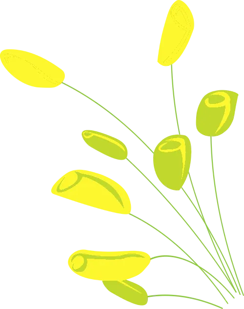 倡议书:请给中考考生一个安静的听力口语考试环境 第4张