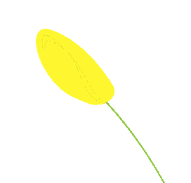 倡议书:请给中考考生一个安静的听力口语考试环境 第6张