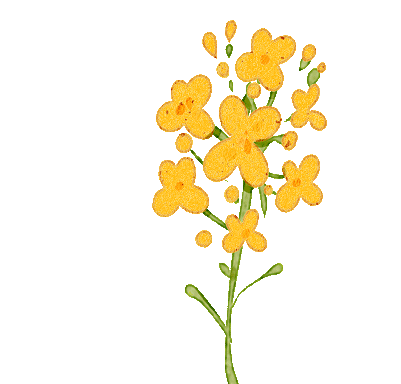 倡议书:请给中考考生一个安静的听力口语考试环境 第12张