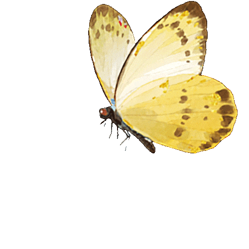 倡议书:请给中考考生一个安静的听力口语考试环境 第13张