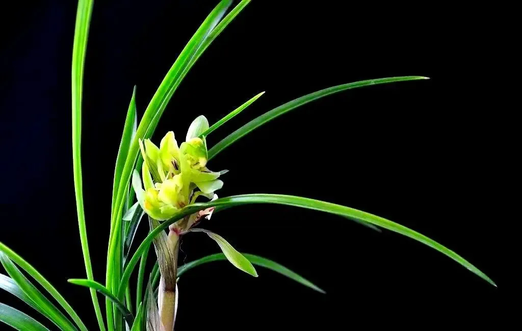 按水平放水,还是按标准赋分 | 一次中考模拟考试书面表达引发的思考 第1张