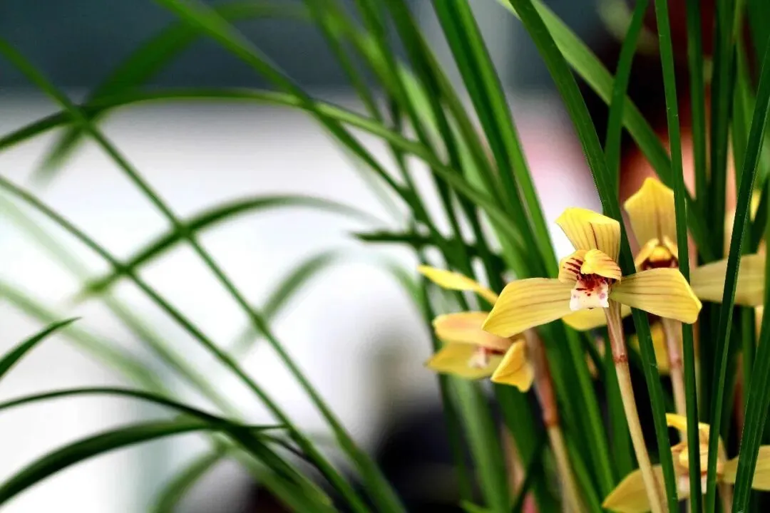 按水平放水,还是按标准赋分 | 一次中考模拟考试书面表达引发的思考 第2张
