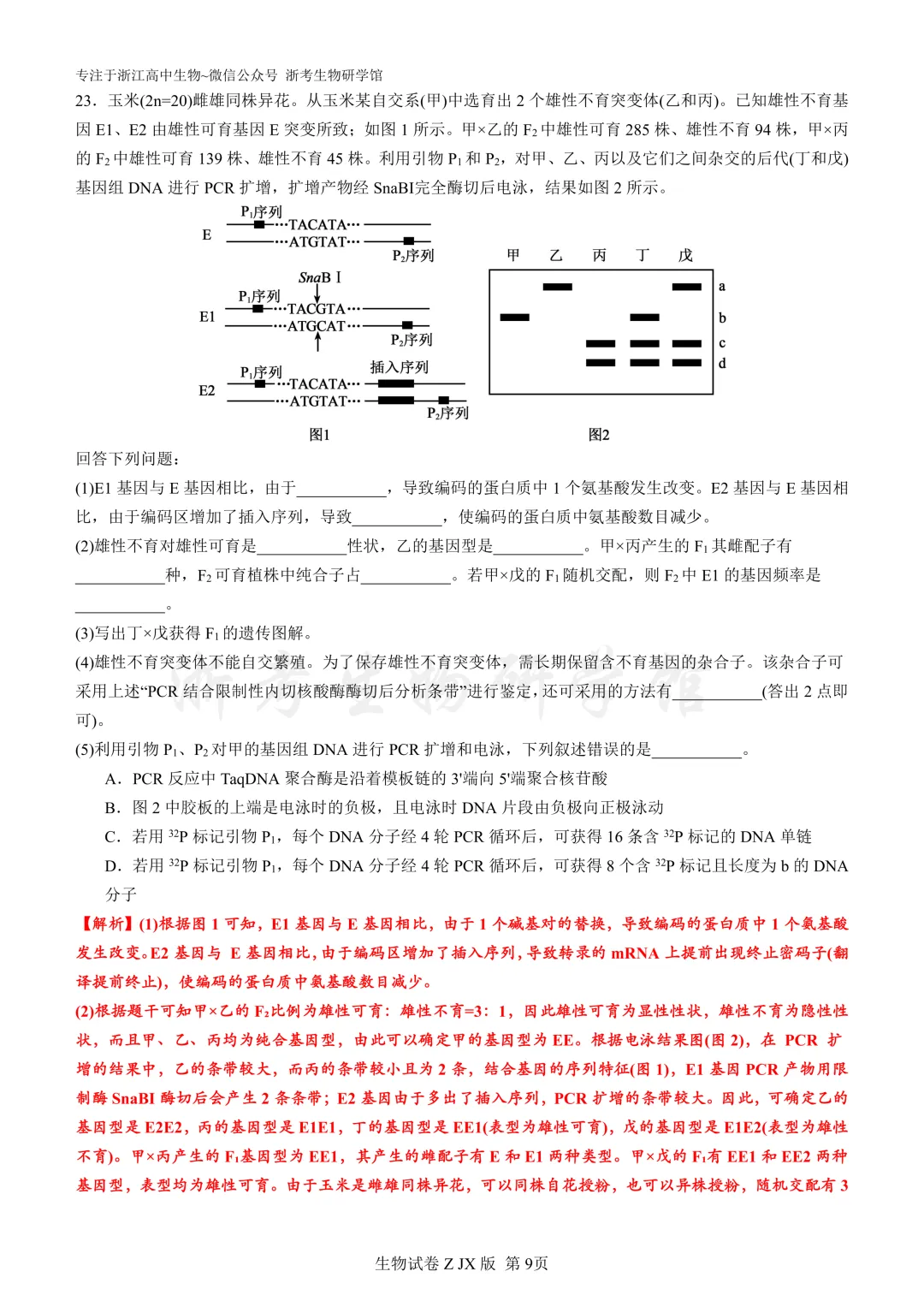 再刷真题|2025年浙江省6月选考试题及解析(官方解析) 第11张