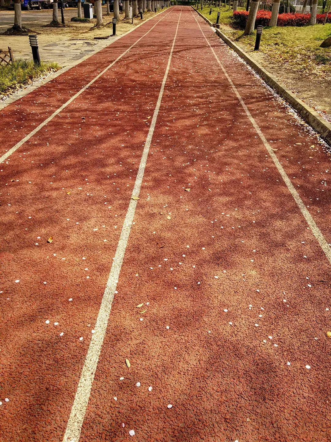 中考冲刺最后60天:家长稳住这3件事,比百句“加油”更管用 第5张