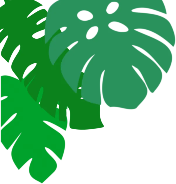 永嘉县游泳馆 | 春假中考游泳培训班招生开始啦! 第1张