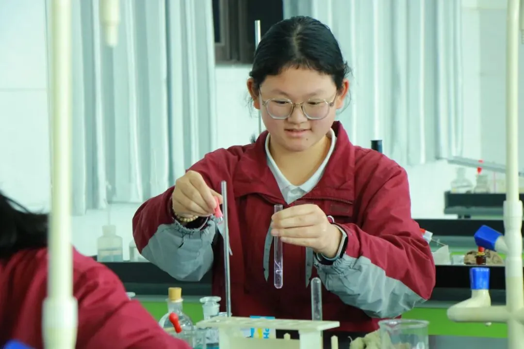 逐梦中考砺剑行|阳光书院初中部中考备考:以奋斗赴荣光,以初心向未来 第20张