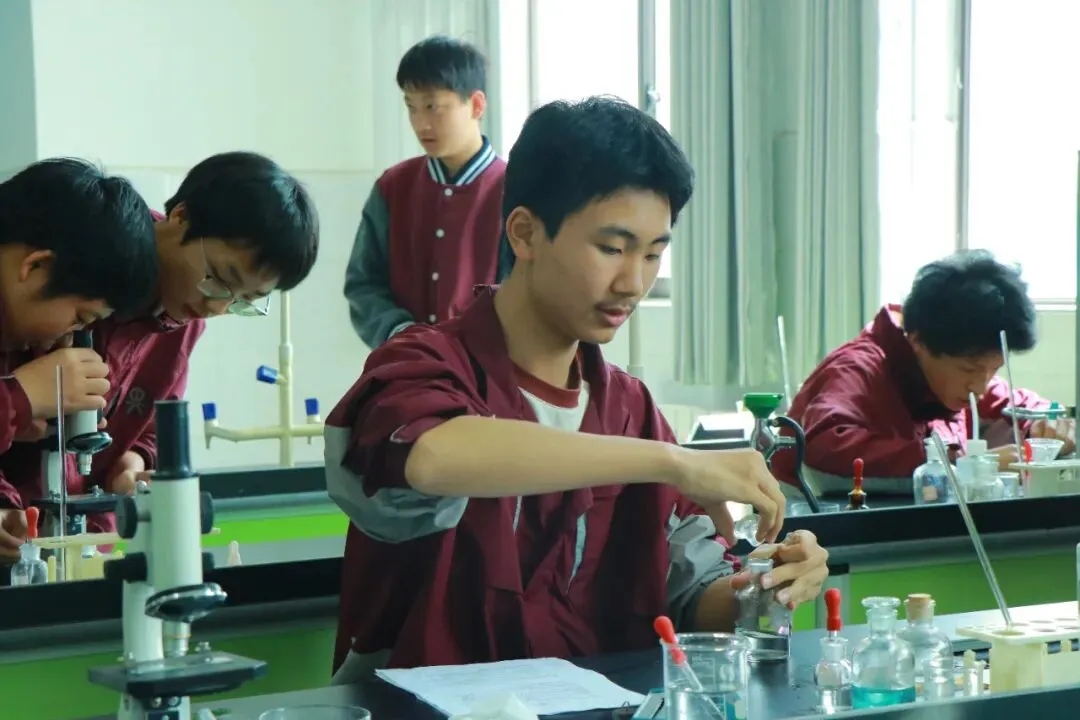 逐梦中考砺剑行|阳光书院初中部中考备考:以奋斗赴荣光,以初心向未来 第22张