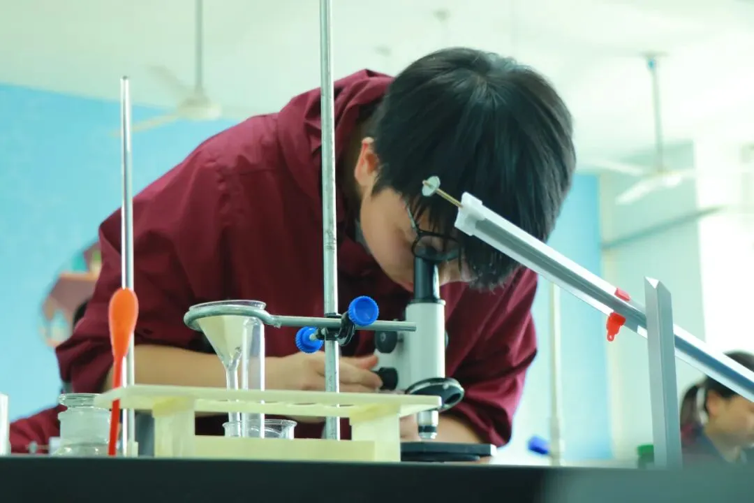 逐梦中考砺剑行|阳光书院初中部中考备考:以奋斗赴荣光,以初心向未来 第23张