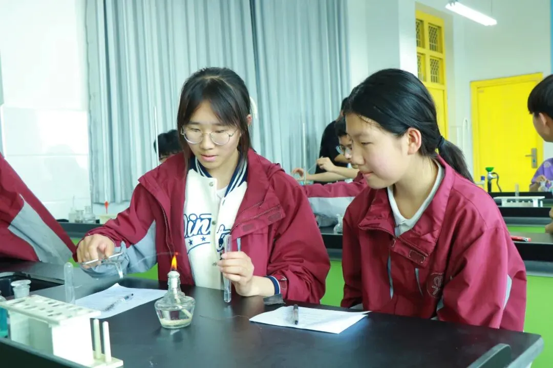 逐梦中考砺剑行|阳光书院初中部中考备考:以奋斗赴荣光,以初心向未来 第24张