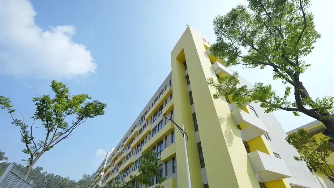 【昆明中考】关于2026年昆明市“春蕾计划”招生工作的通知 第2张