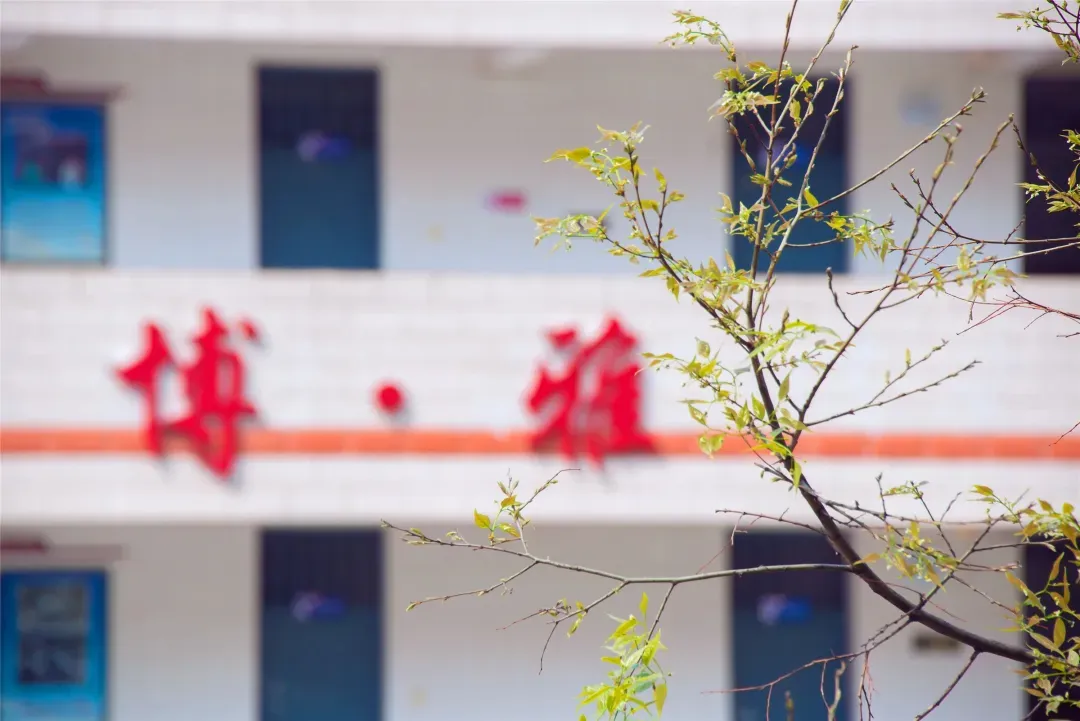 【昆明中考】关于2026年昆明市“春蕾计划”招生工作的通知 第6张