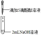1740 2026年中考化学总复习专题突破:科学探究题(免费下载) 第7张