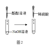 1740 2026年中考化学总复习专题突破:科学探究题(免费下载) 第14张