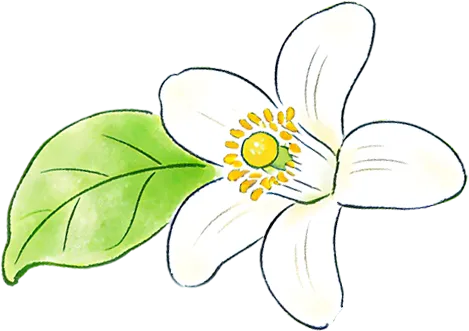 2026年4月24日上午,面试真题及高分作答 第3张