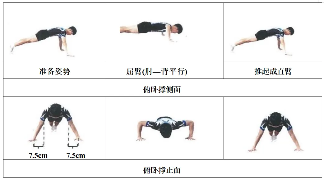 关注中考 | 体育生、传媒生别错过!惠州三所学校正在招这几类特长生 第1张