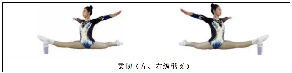 关注中考 | 体育生、传媒生别错过!惠州三所学校正在招这几类特长生 第10张