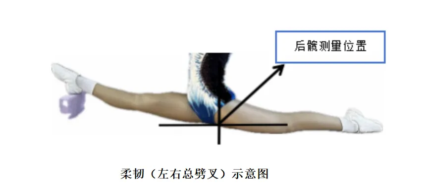 关注中考 | 体育生、传媒生别错过!惠州三所学校正在招这几类特长生 第11张