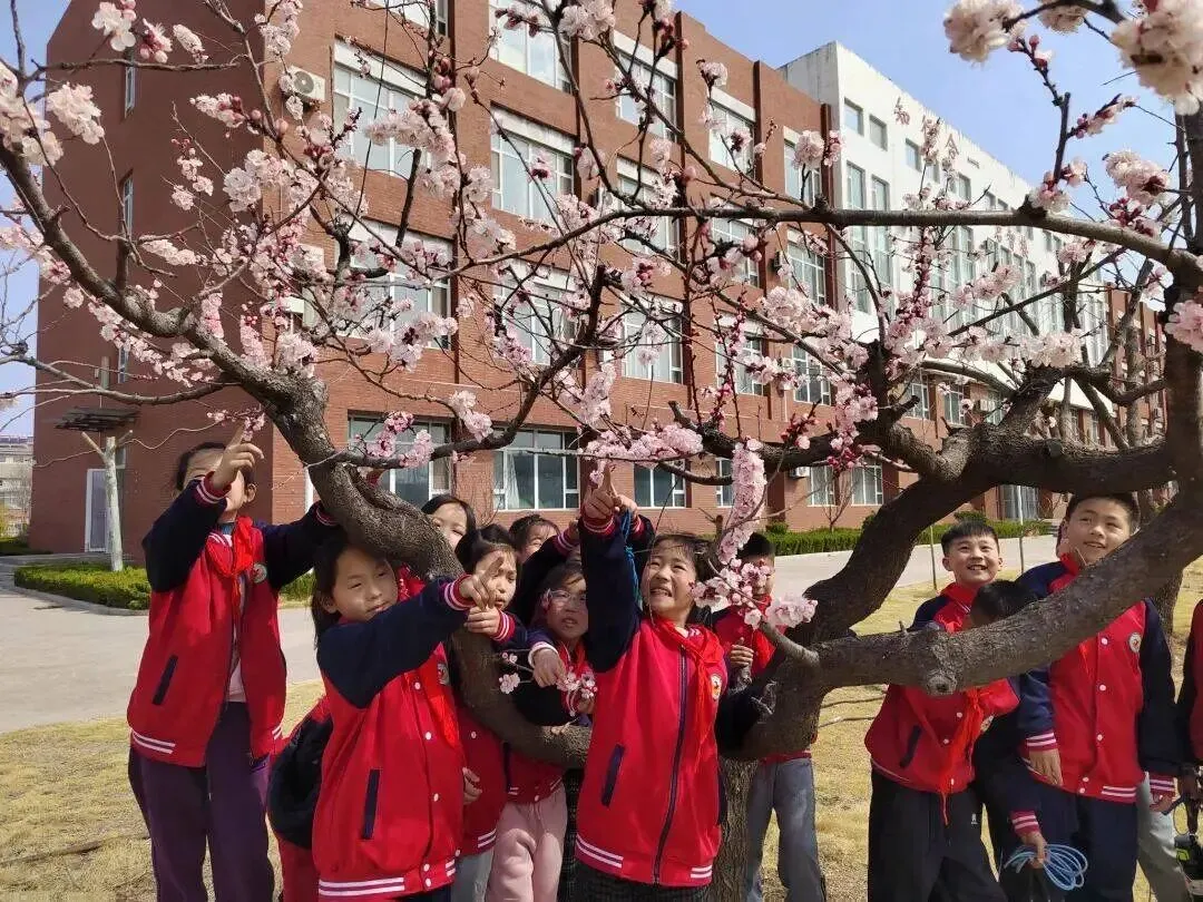 首届中考硬刚老牌名校,新公办校金樱的逆袭密码 第4张