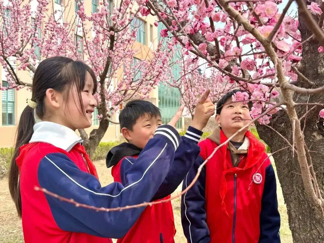 首届中考硬刚老牌名校,新公办校金樱的逆袭密码 第5张