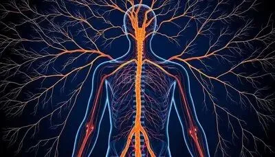 托福阅读真题解析|2026年4月真题 Complete the Words 第3张