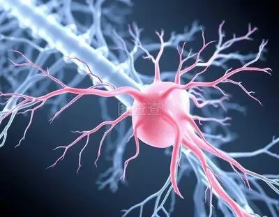 托福阅读真题解析|2026年4月真题 Complete the Words 第4张