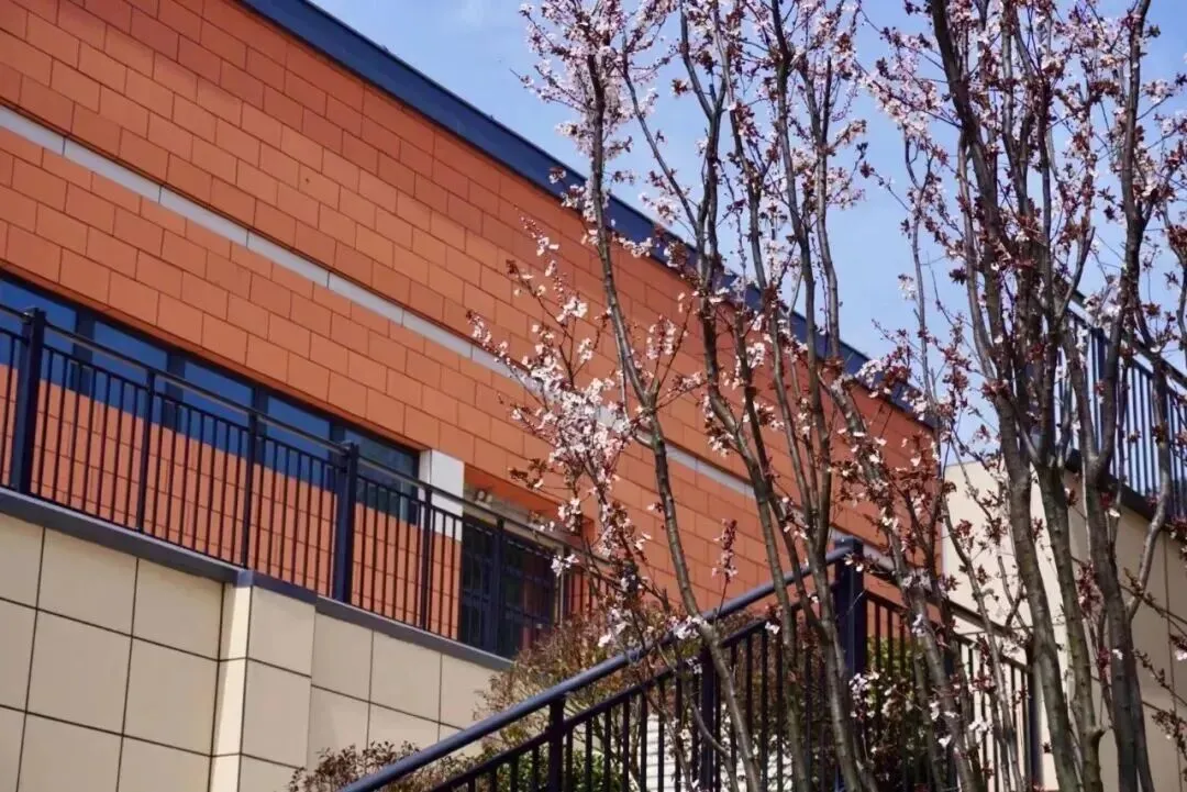 【中考招生资讯】长沙市珺琟高级中学2026年招生咨询指南 第55张