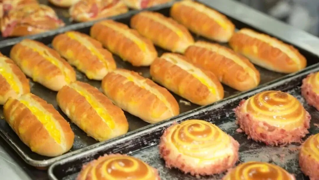 【中考招生资讯】长沙市珺琟高级中学2026年招生咨询指南 第97张