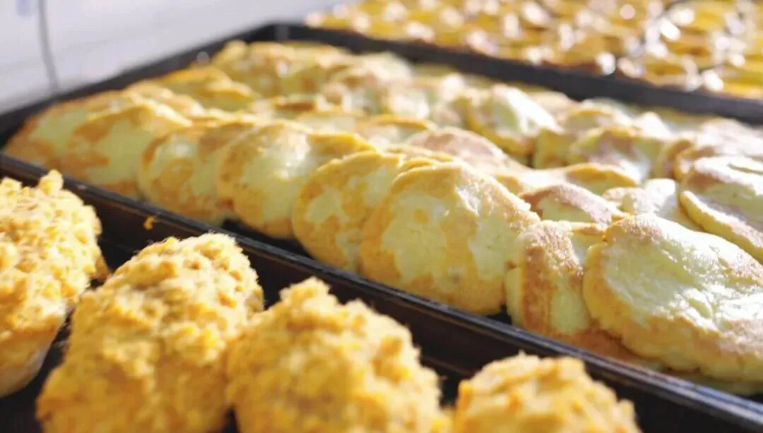 【中考招生资讯】长沙市珺琟高级中学2026年招生咨询指南 第98张