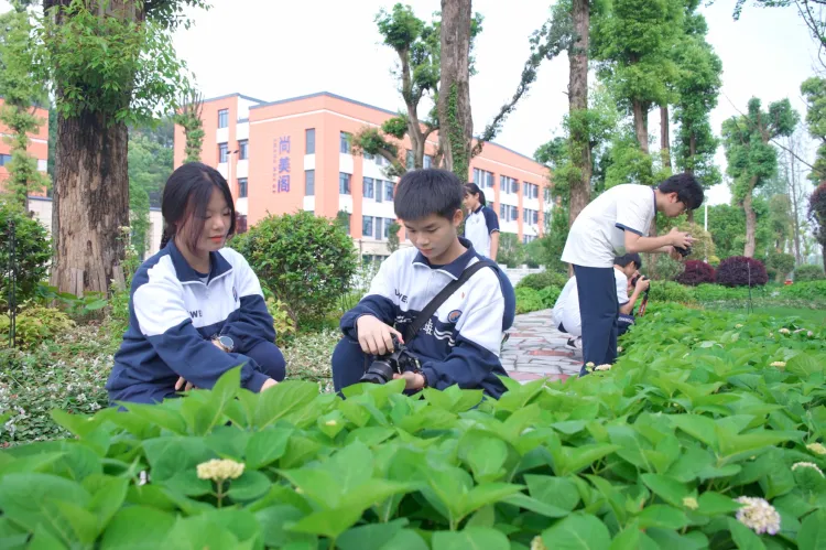 【中考招生资讯】长沙市珺琟高级中学2026年招生咨询指南 第209张