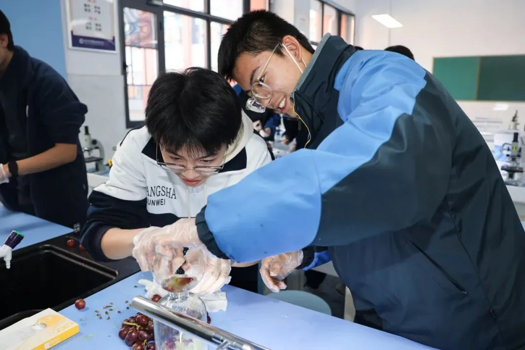 【中考招生资讯】长沙市珺琟高级中学2026年招生咨询指南 第215张