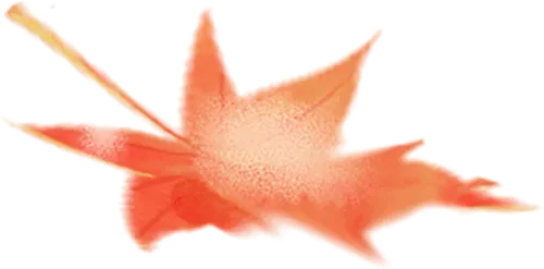 中考冲刺 · 筑梦前行|2026年中考冲刺专场讲座暨保定市宽高高级中学校园开放日邀请函 第1张