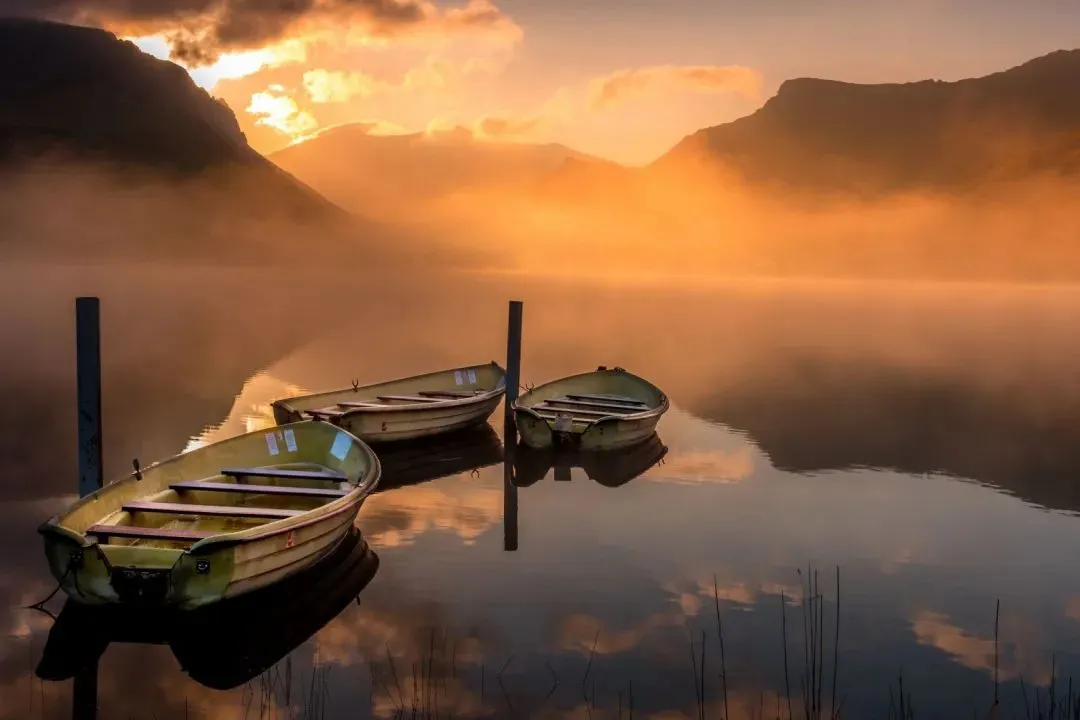 《为什么我的高考试卷总是白纸啊?》欣欣大结局阅读丨畅读 第2张