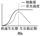 高考真题‖2025高考生物学真题分类汇编专题十七之03 基因工程的基本操作程序及应用和蛋白质工程(1) 第5张