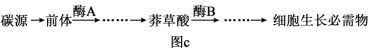 高考真题‖2025高考生物学真题分类汇编专题十七之03 基因工程的基本操作程序及应用和蛋白质工程(1) 第6张