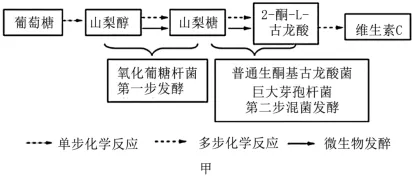 高考真题‖2025高考生物学真题分类汇编专题十七之03 基因工程的基本操作程序及应用和蛋白质工程(1) 第7张