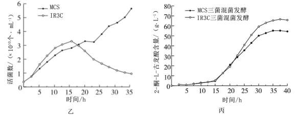 高考真题‖2025高考生物学真题分类汇编专题十七之03 基因工程的基本操作程序及应用和蛋白质工程(1) 第8张