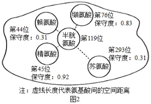 高考真题‖2025高考生物学真题分类汇编专题十七之03 基因工程的基本操作程序及应用和蛋白质工程(1) 第12张