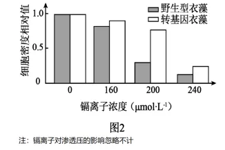 高考真题‖2025高考生物学真题分类汇编专题十七之03 基因工程的基本操作程序及应用和蛋白质工程(1) 第15张